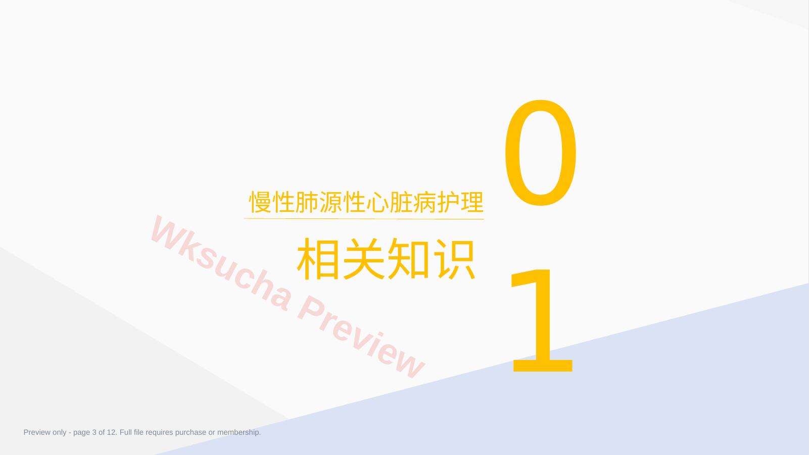 预览第 3 页