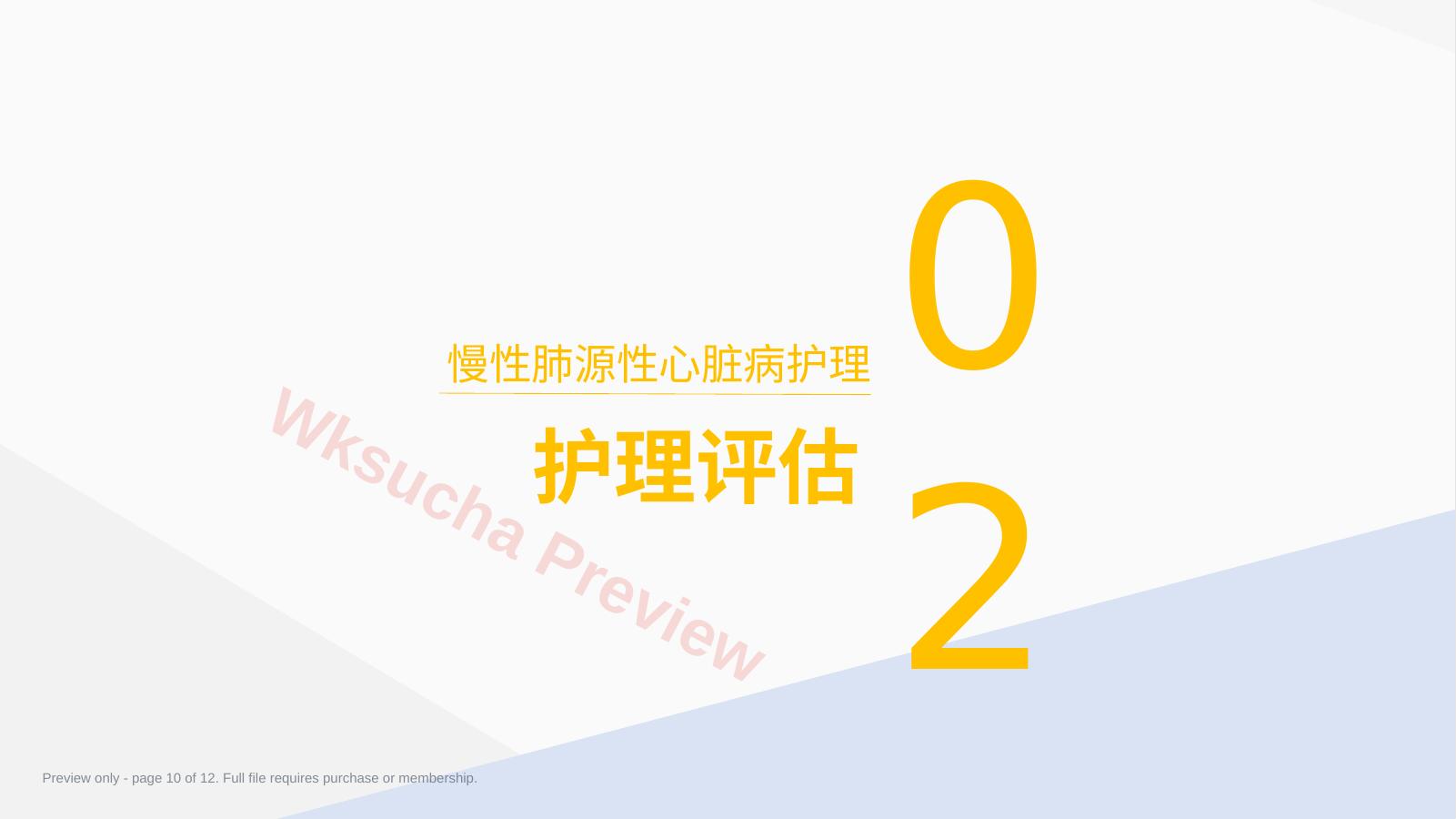 预览第 10 页