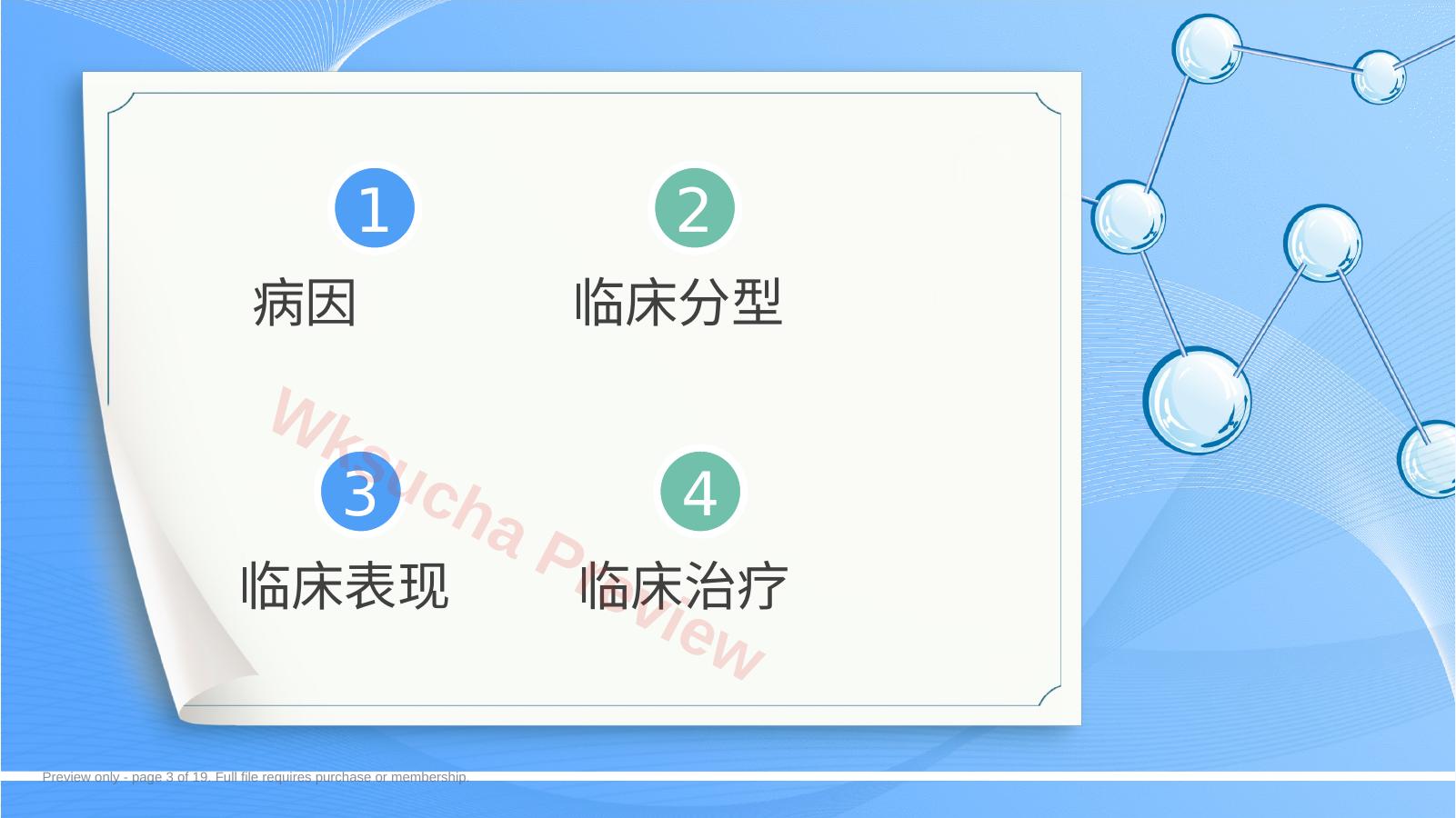 预览第 3 页