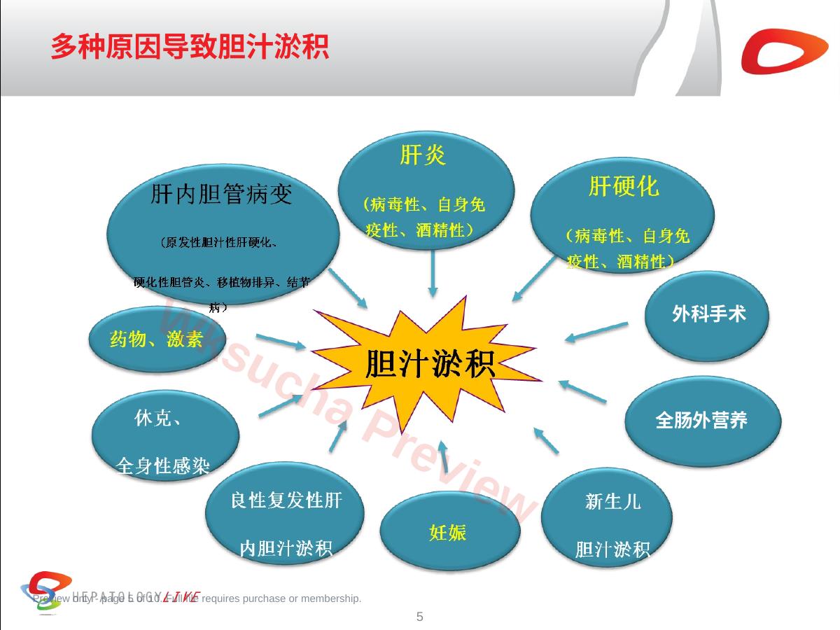 预览第 5 页
