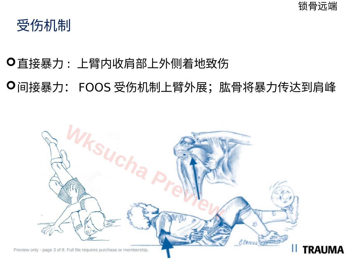 预览第 3 页