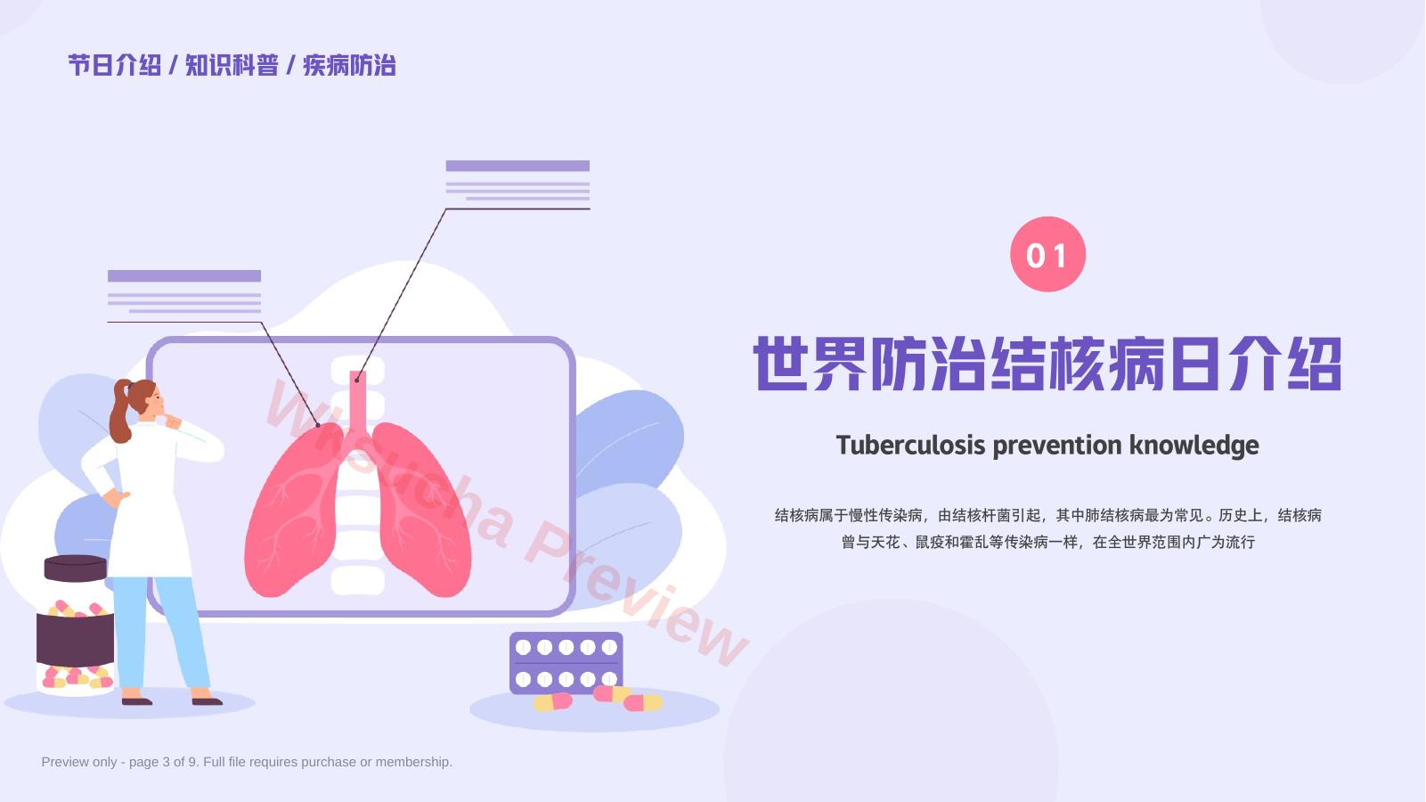 预览第 3 页