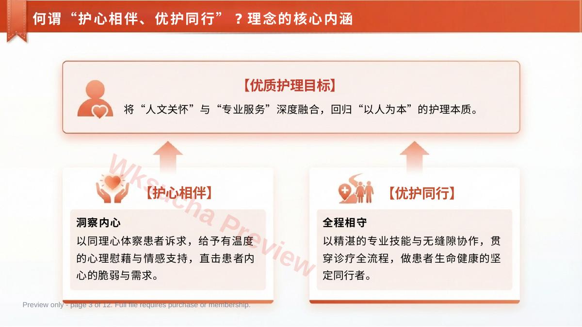 预览第 3 页