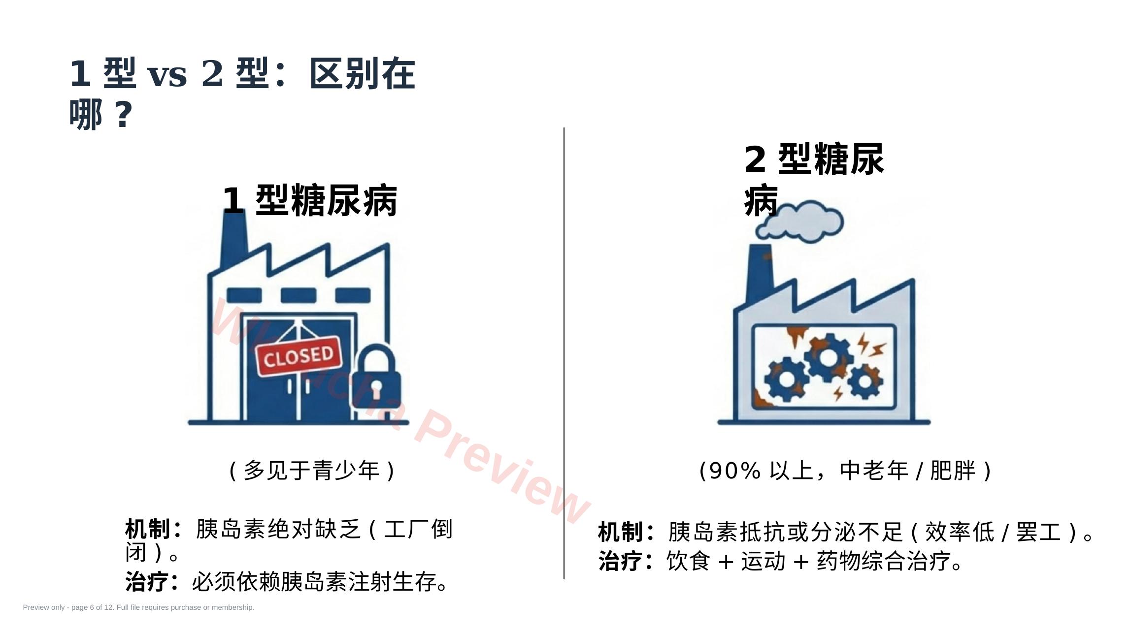 预览第 6 页