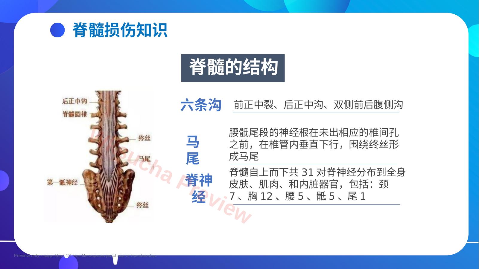预览第 10 页
