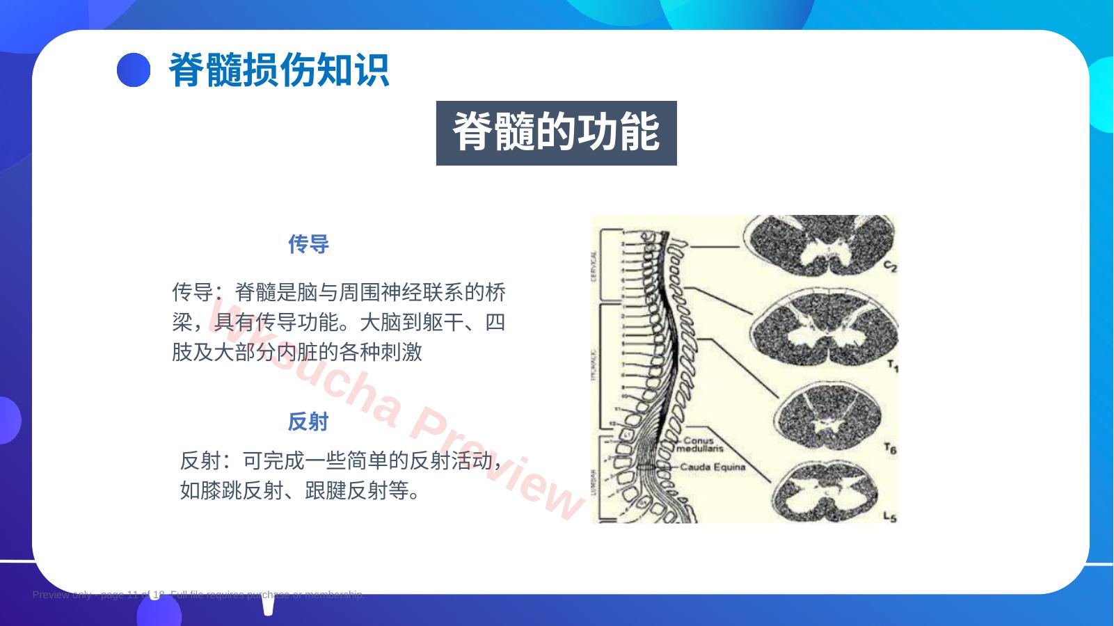 预览第 11 页