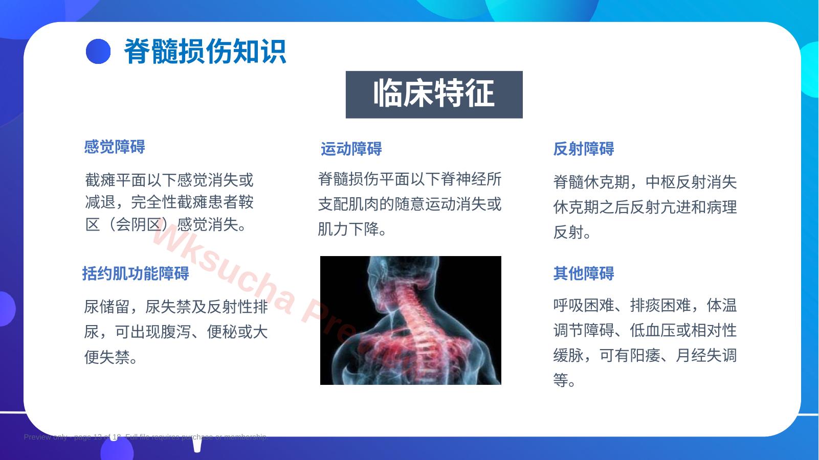 预览第 13 页