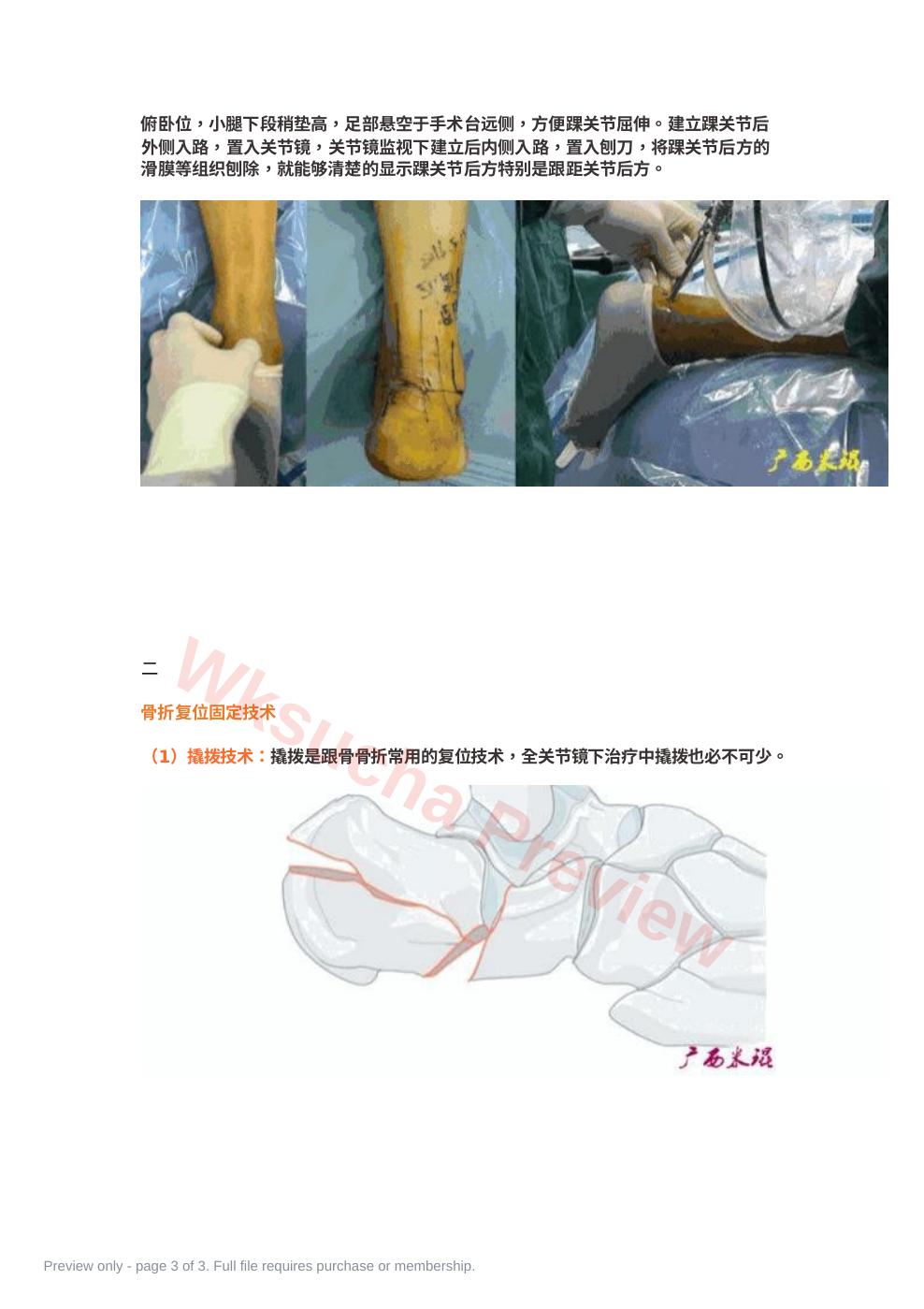 预览第 3 页