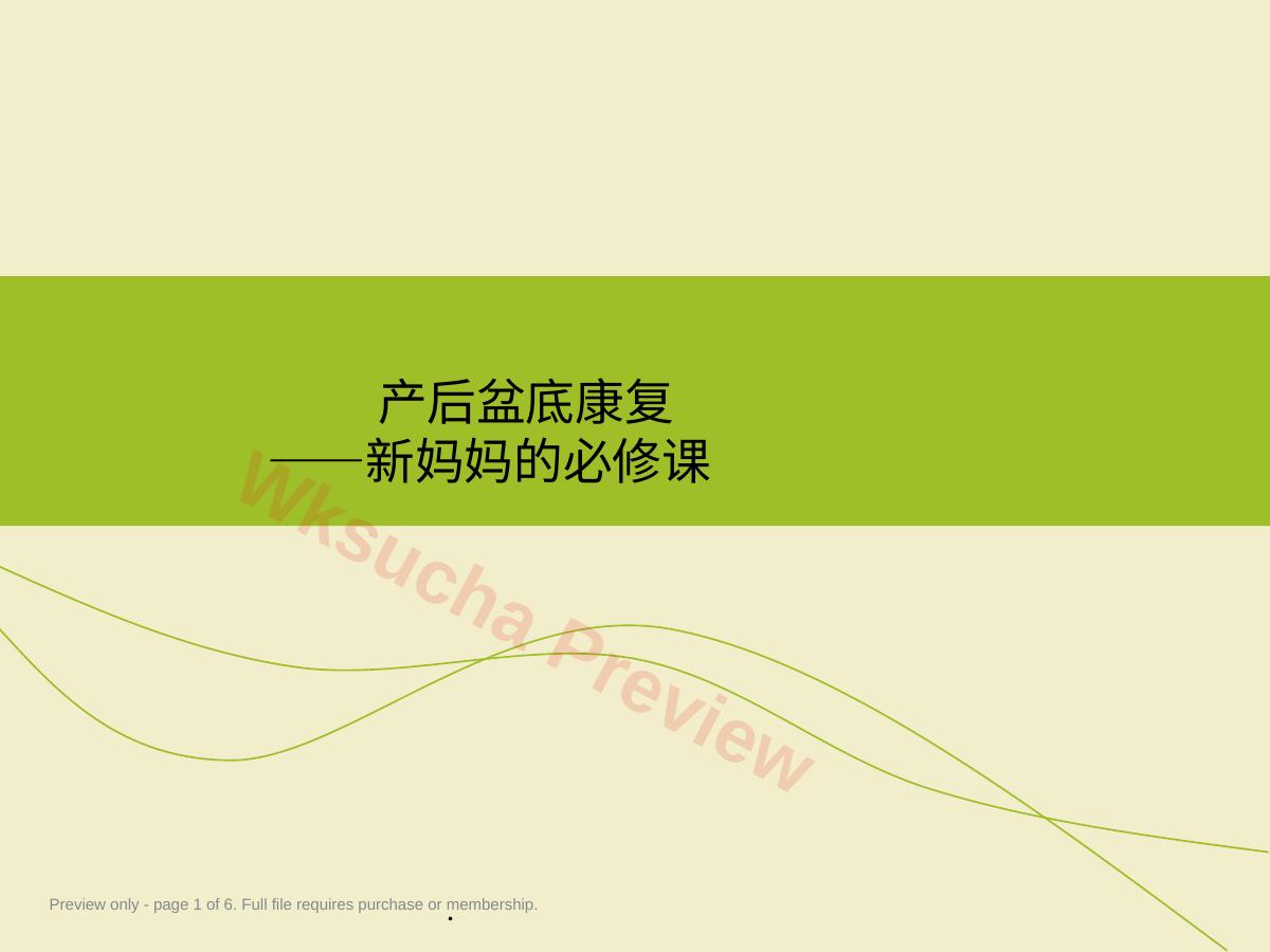 产后盆底康复PPT幻灯片