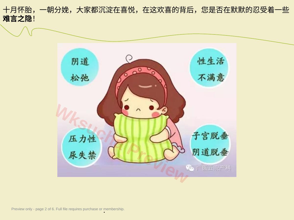 预览第 2 页