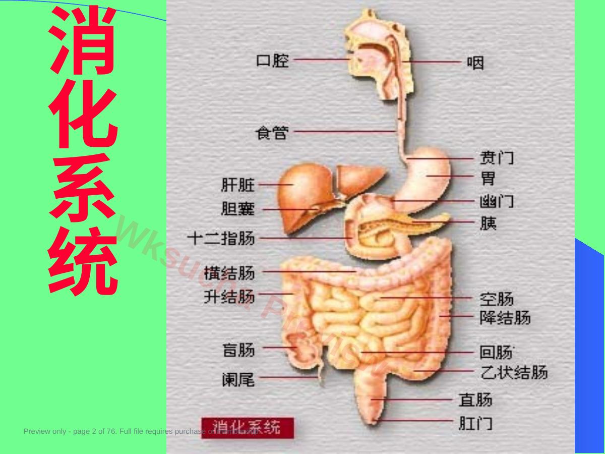预览第 2 页