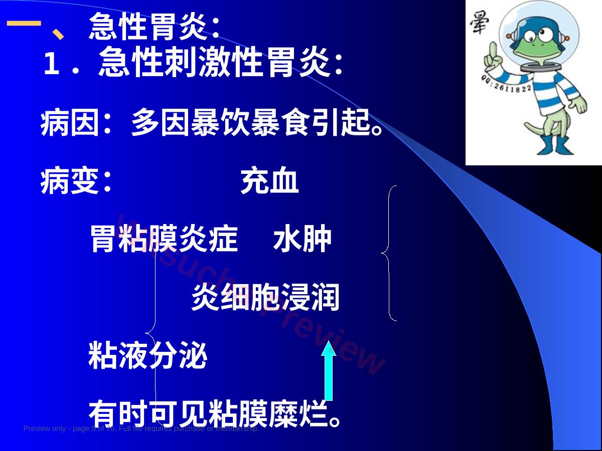 预览第 5 页
