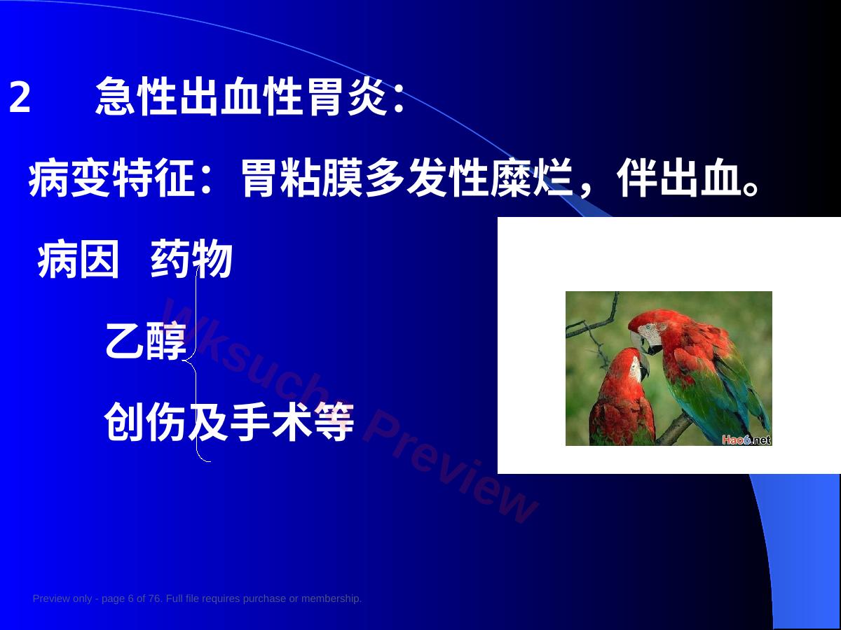 预览第 6 页