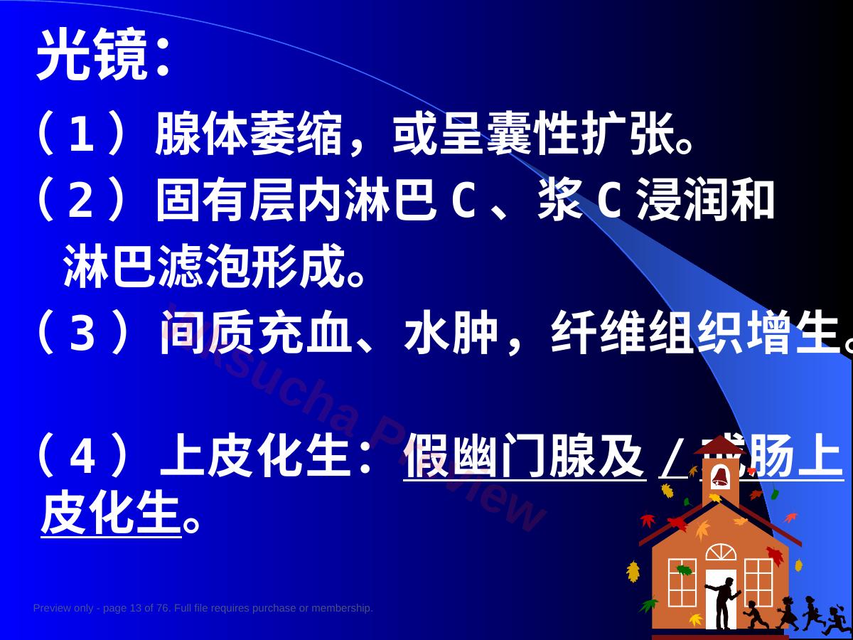 预览第 13 页