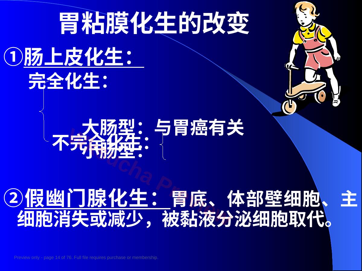 预览第 14 页
