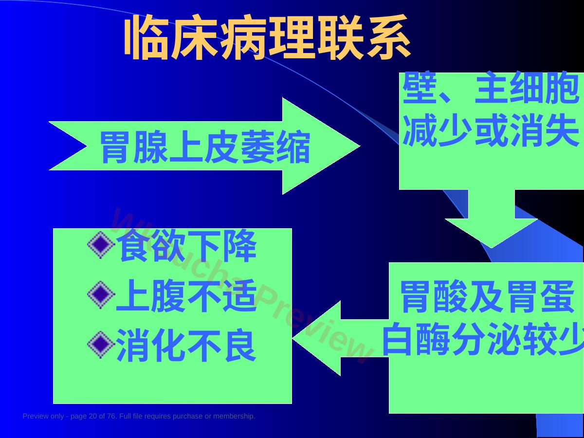 预览第 20 页