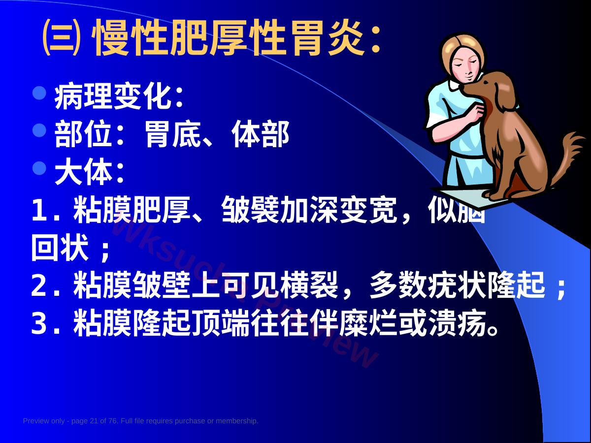 预览第 21 页