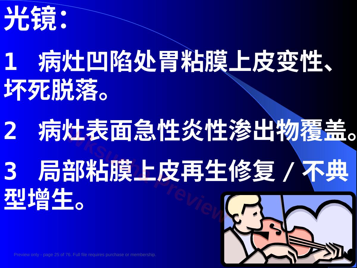 预览第 25 页