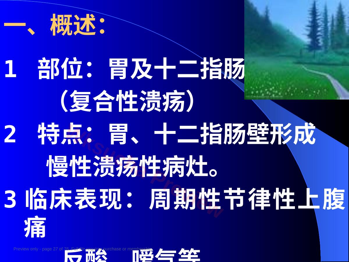 预览第 27 页