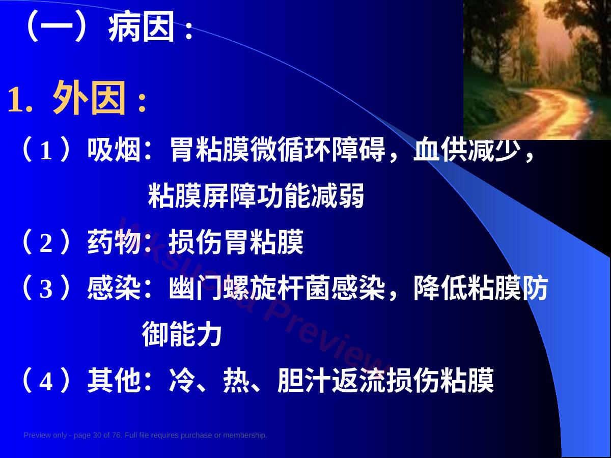 预览第 30 页