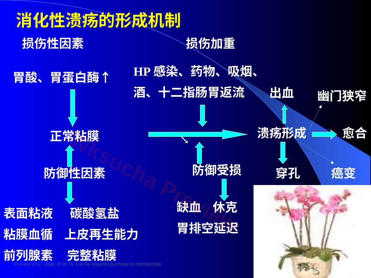 预览第 33 页