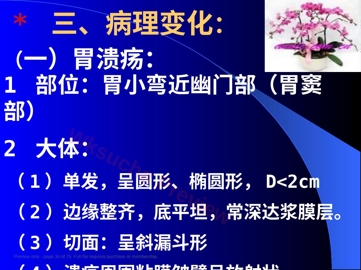 预览第 34 页