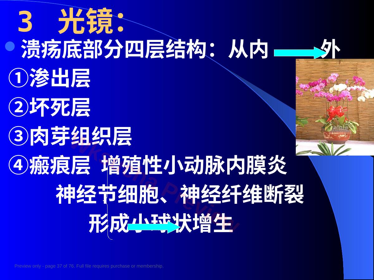 预览第 37 页