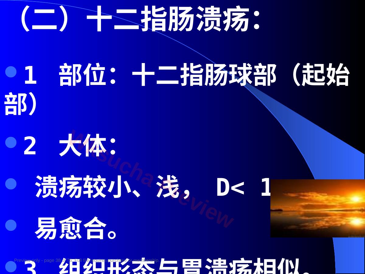 预览第 38 页