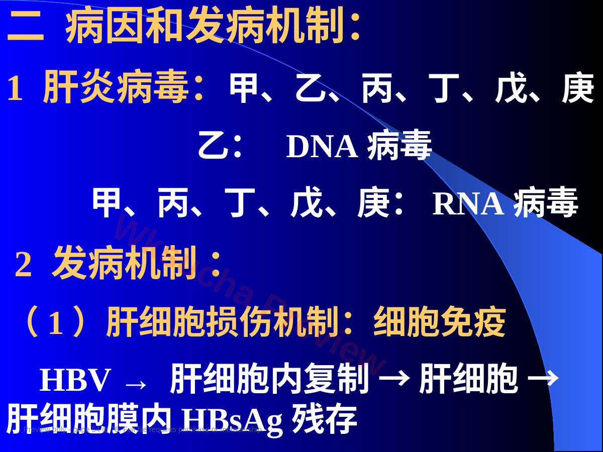 预览第 54 页