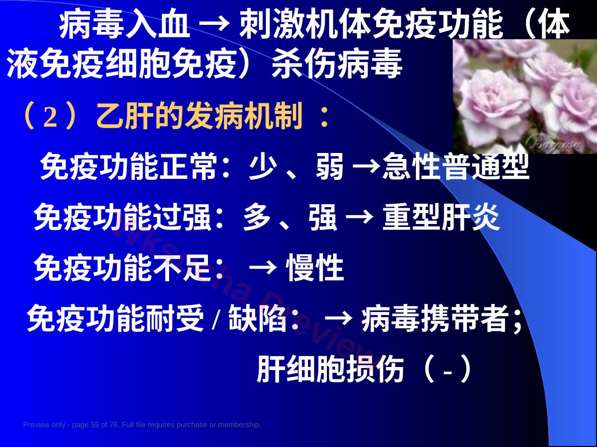 预览第 55 页