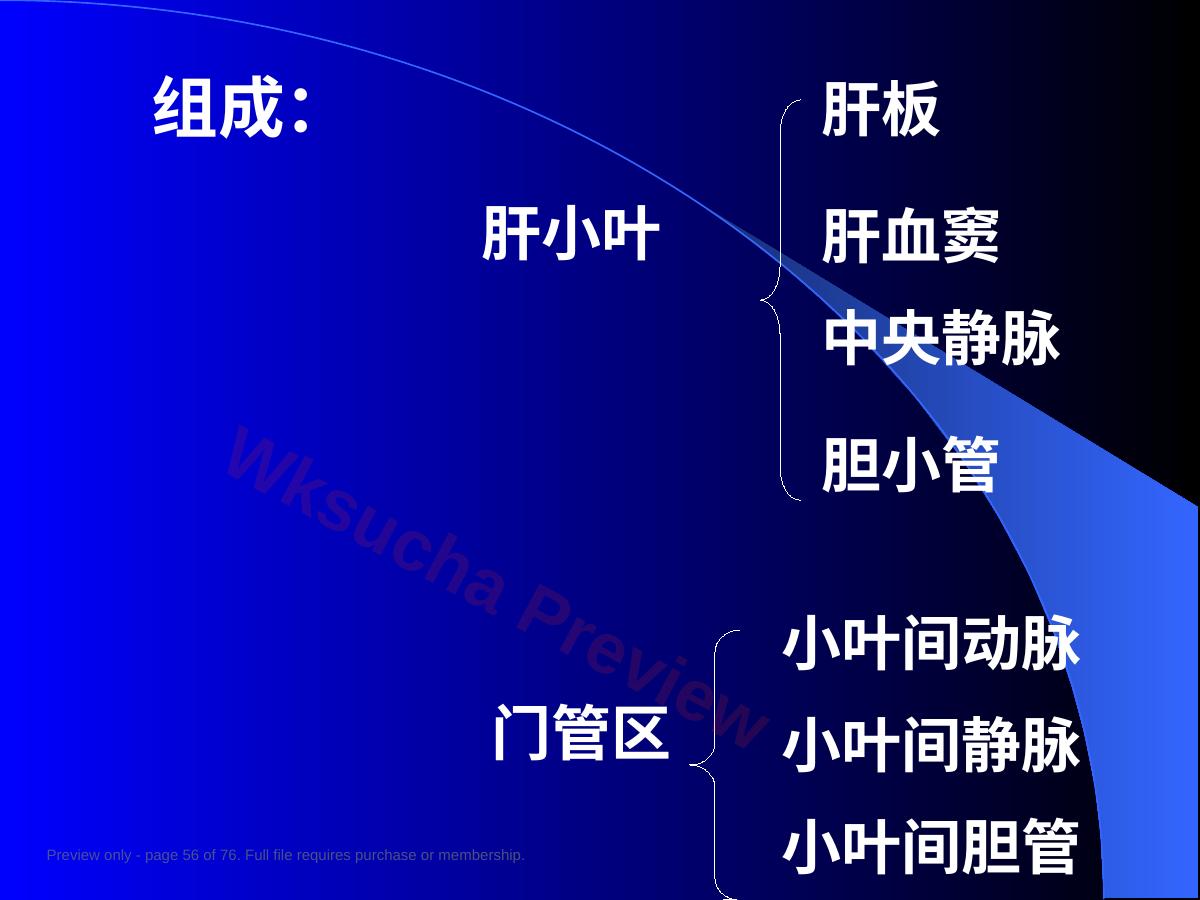 预览第 56 页