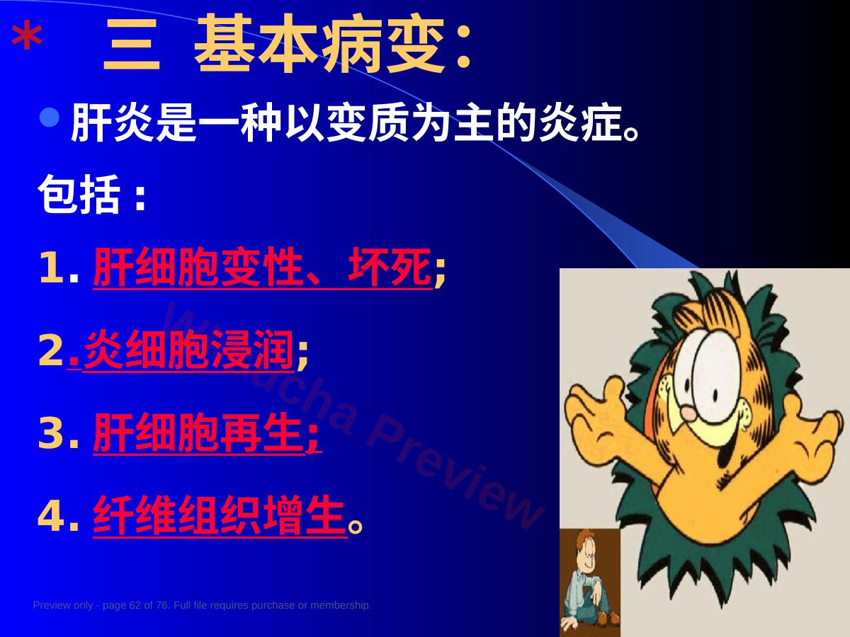 预览第 62 页