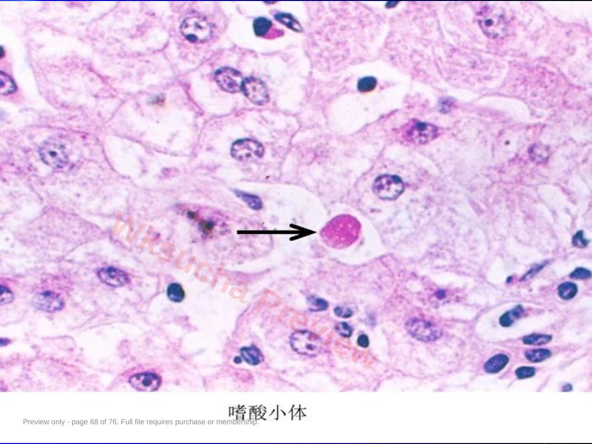 预览第 68 页