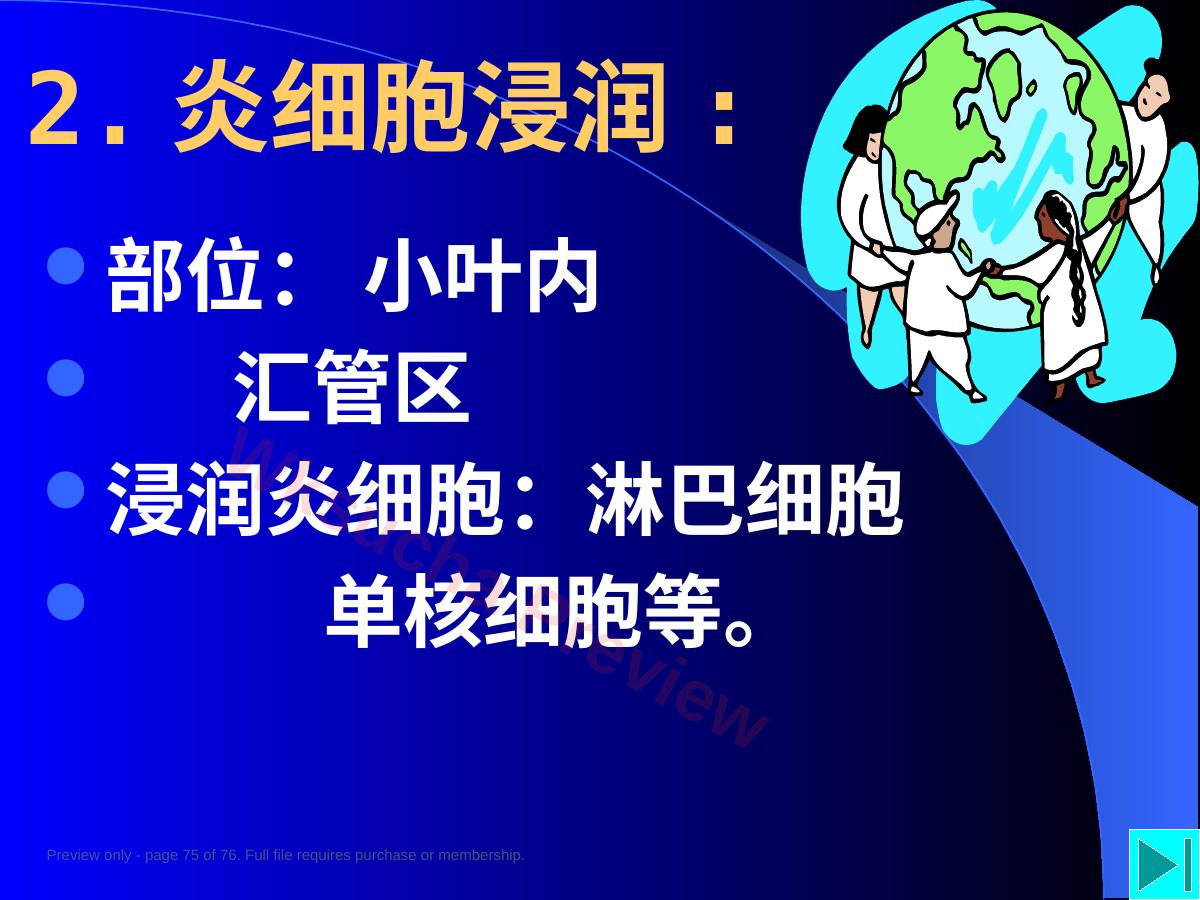 预览第 75 页