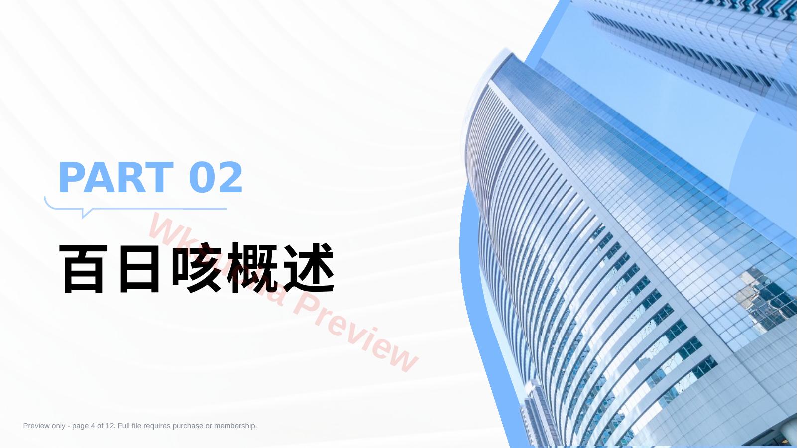 预览第 4 页