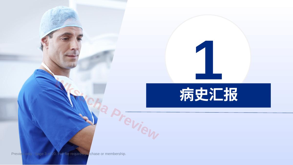 预览第 3 页