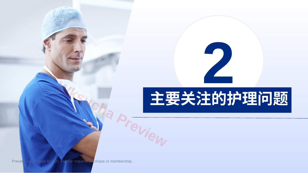 预览第 9 页