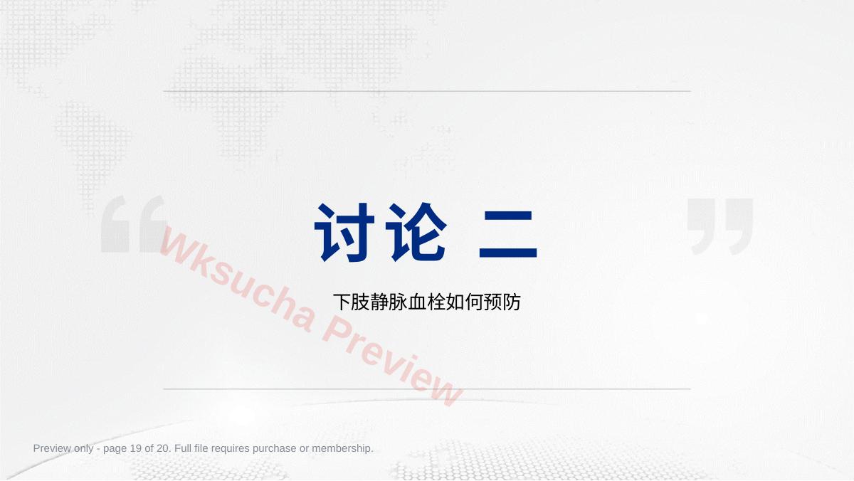 预览第 19 页