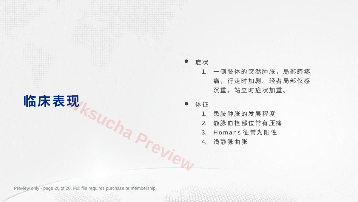 预览第 20 页