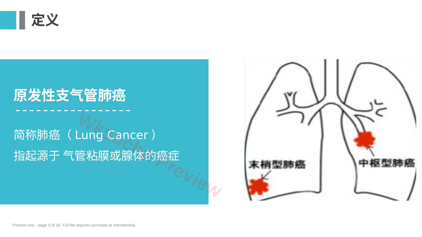 预览第 3 页
