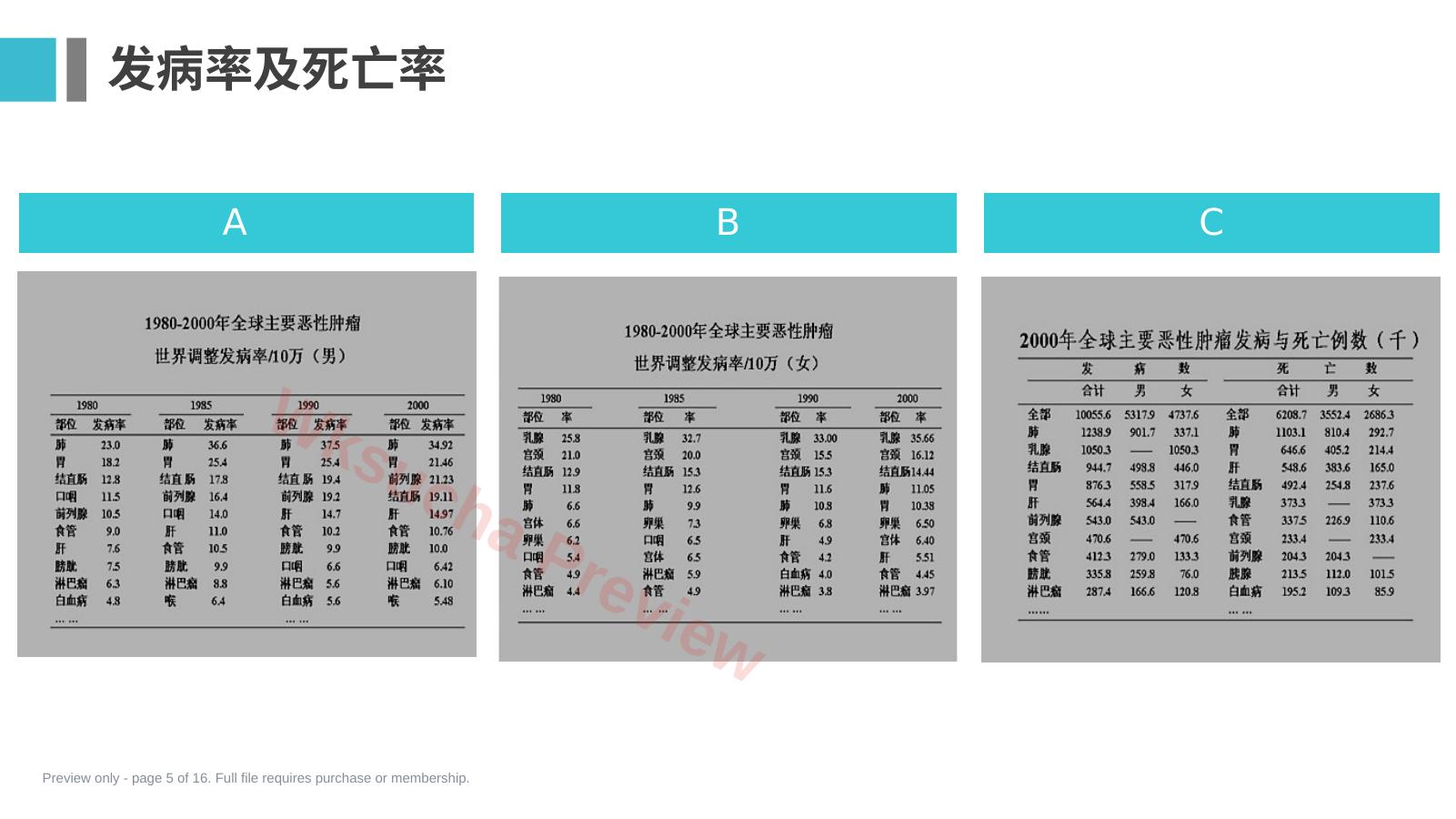 预览第 5 页