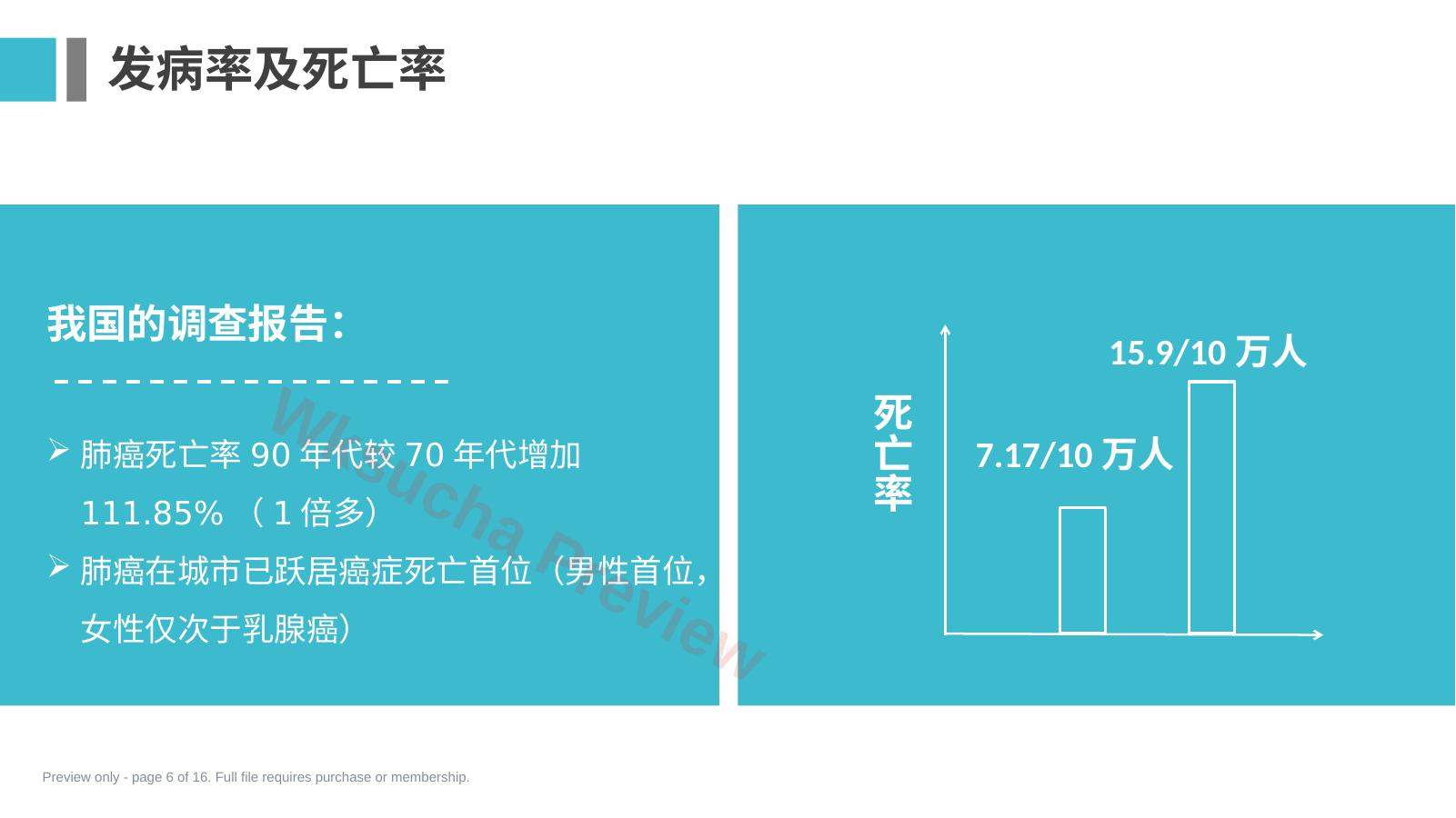 预览第 6 页