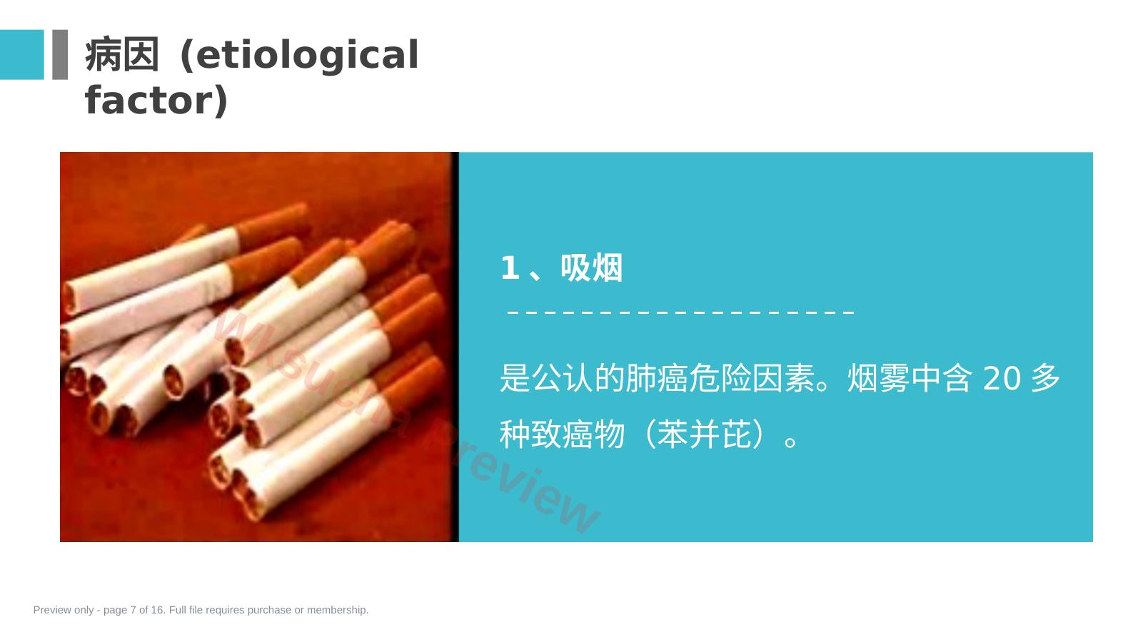 预览第 7 页