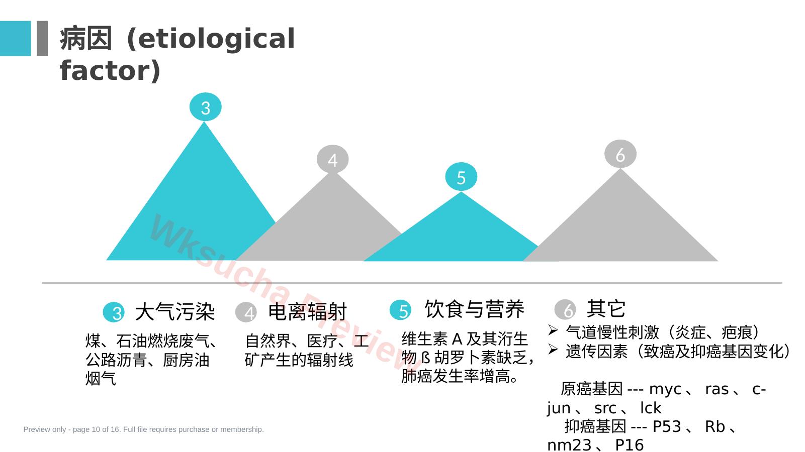 预览第 10 页