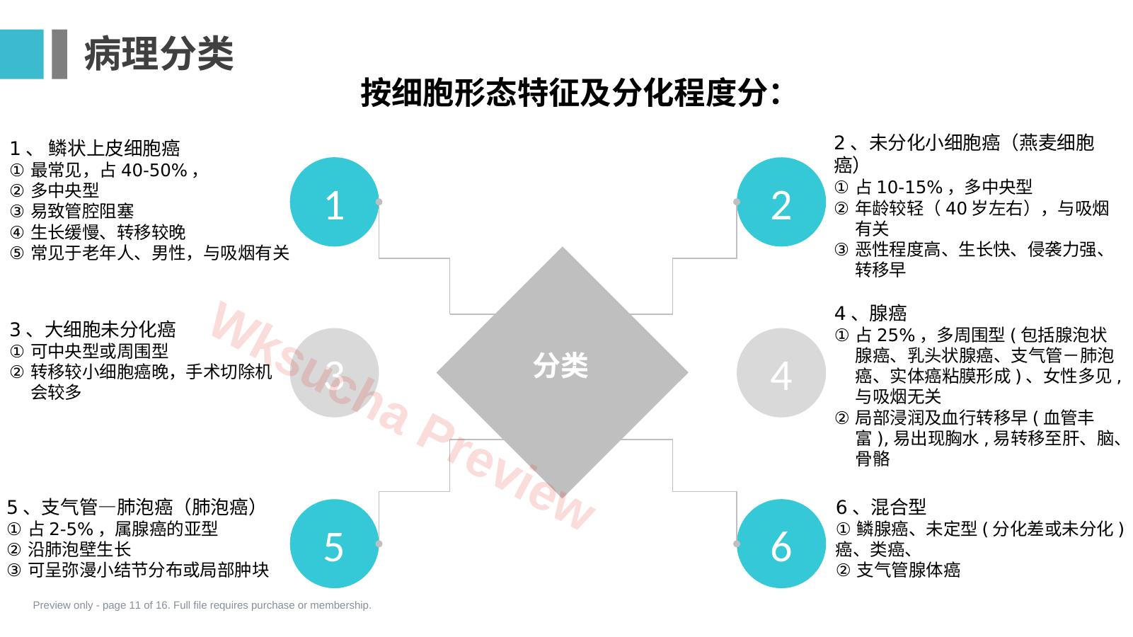 预览第 11 页
