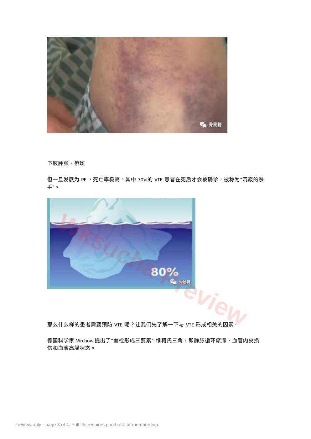 预览第 3 页