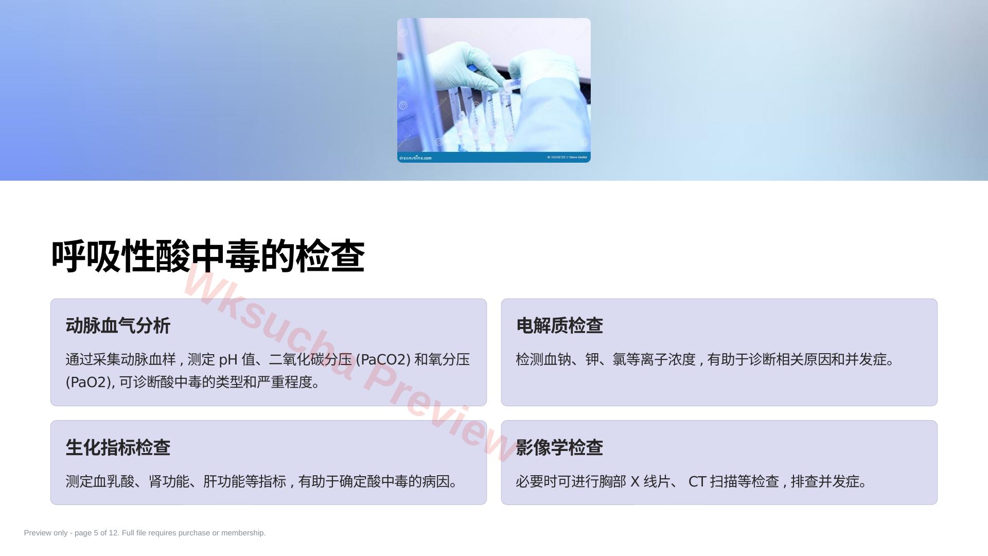 预览第 5 页