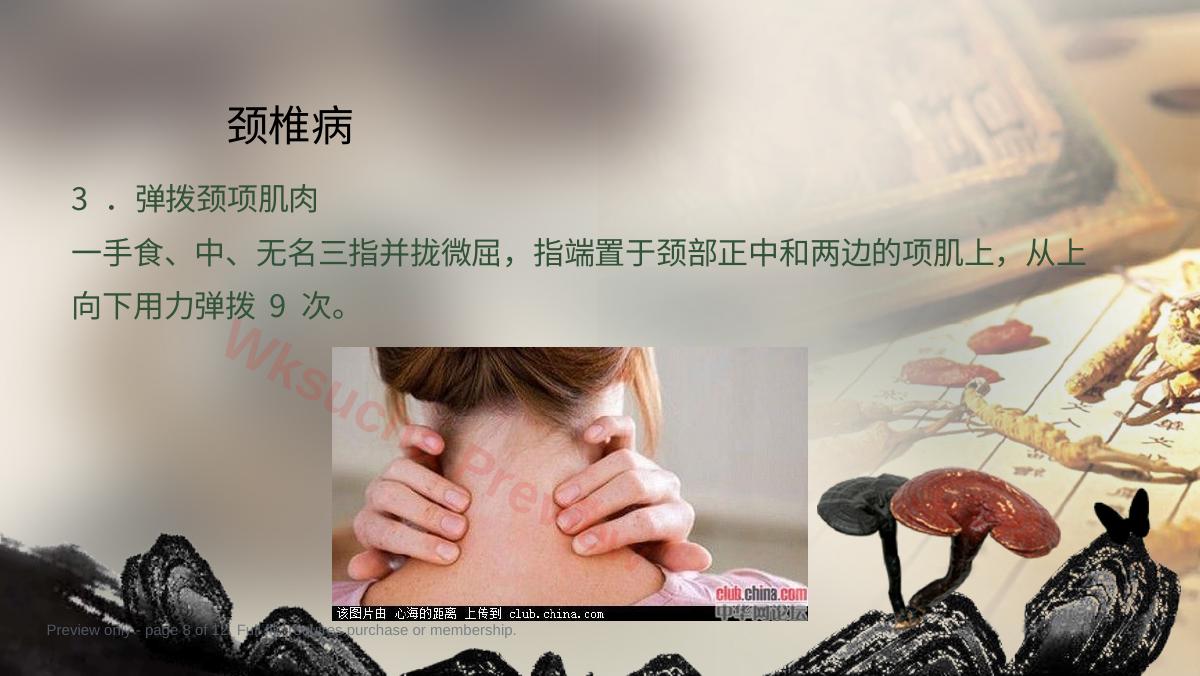 预览第 8 页