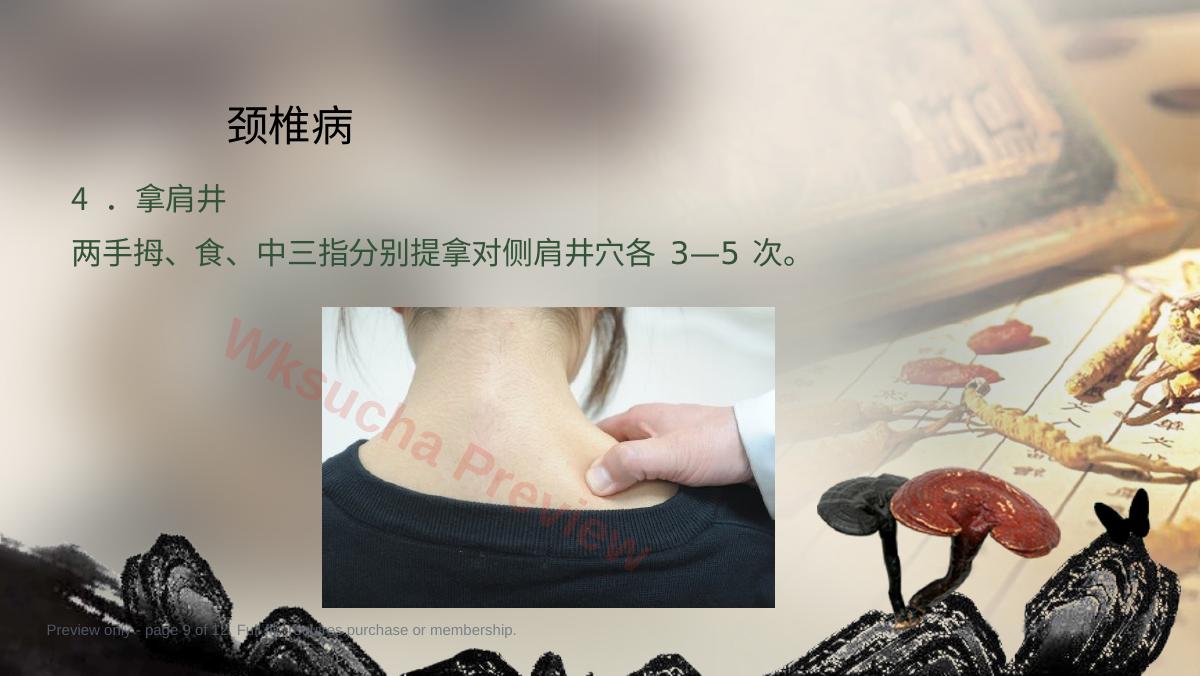 预览第 9 页