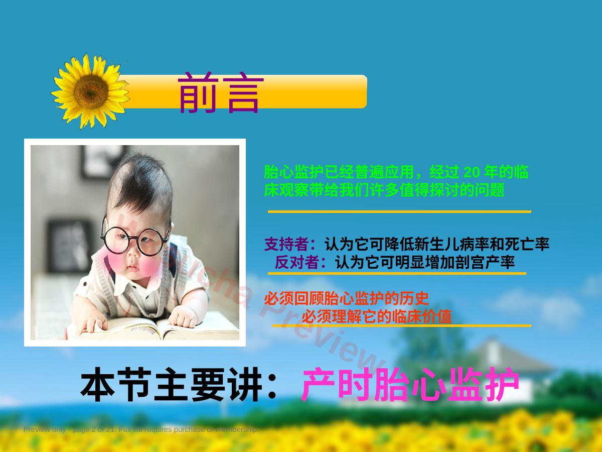 预览第 2 页